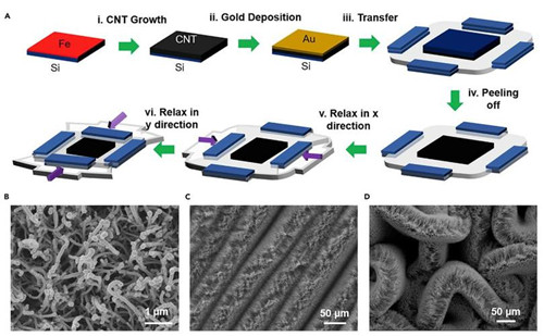 Stretchable Supercapacitors Powering Wearable Electronics